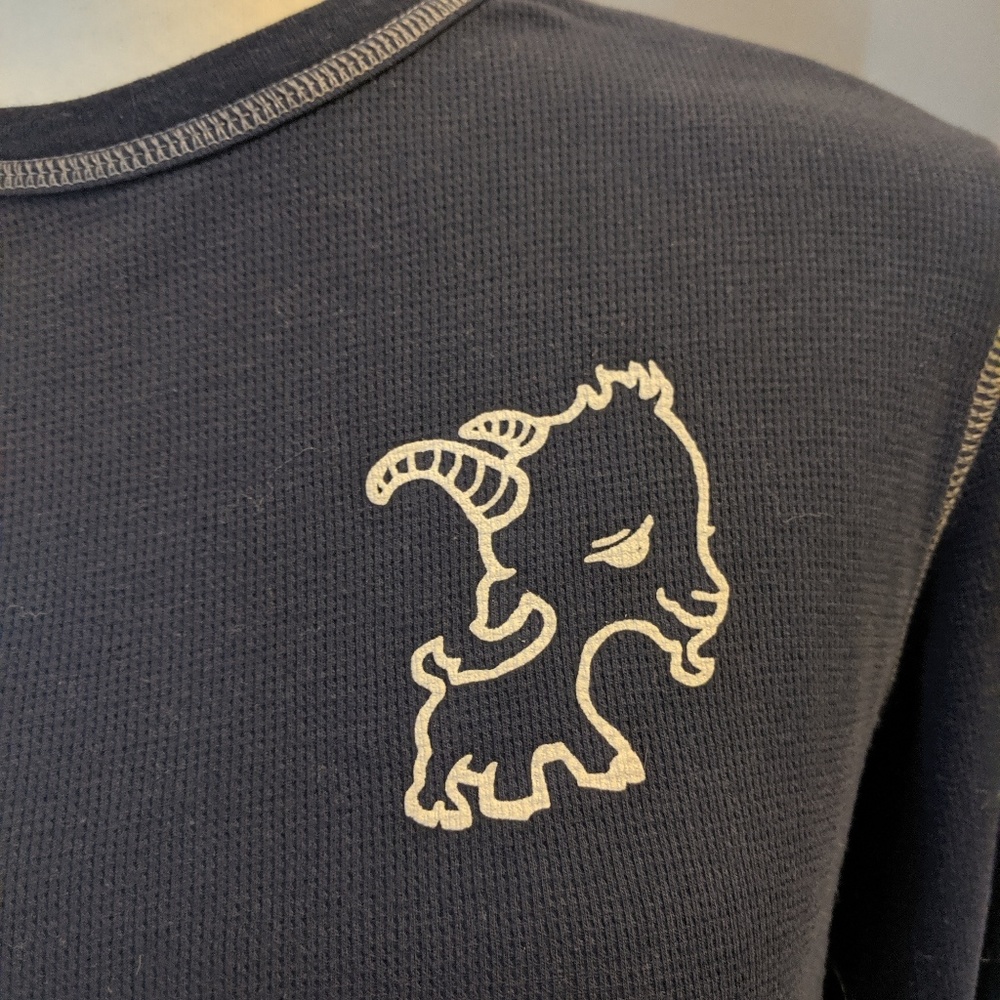 Graphic Thermal Chicago long sleeve top